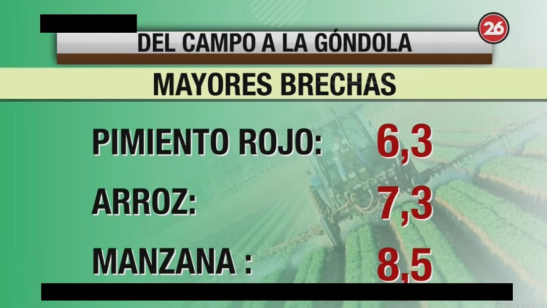 Brecha de precios entre campo y góndola, Canal 26