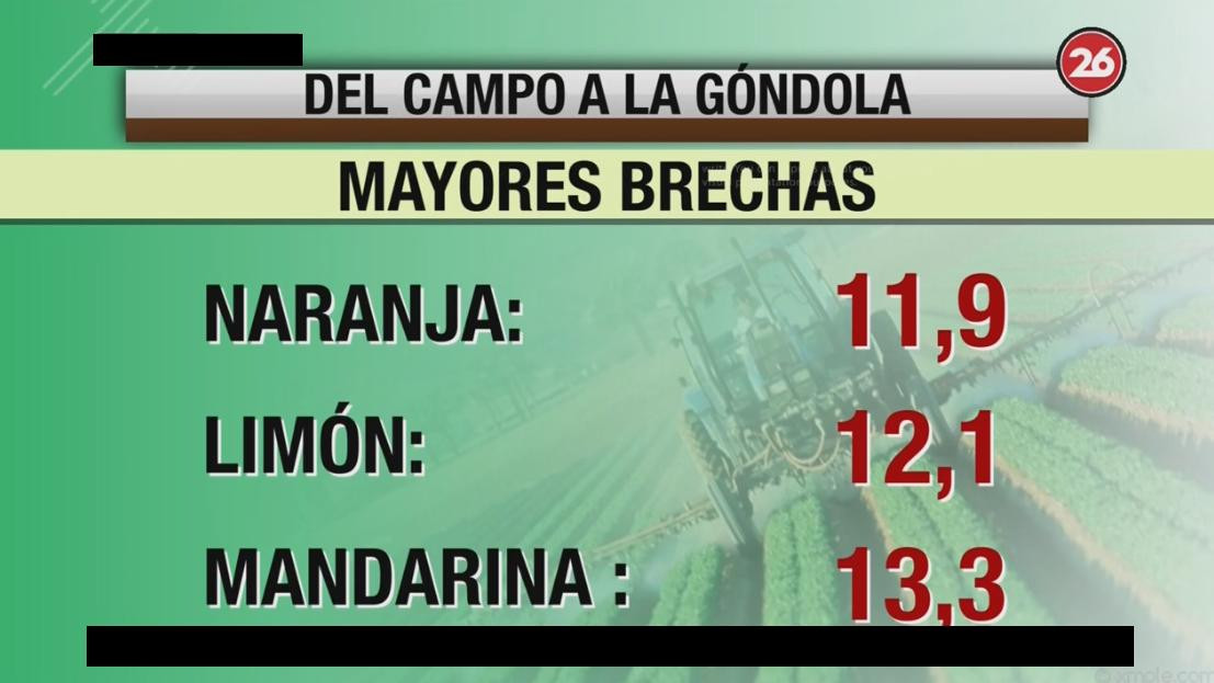 Brecha de precios entre campo y góndola, Canal 26