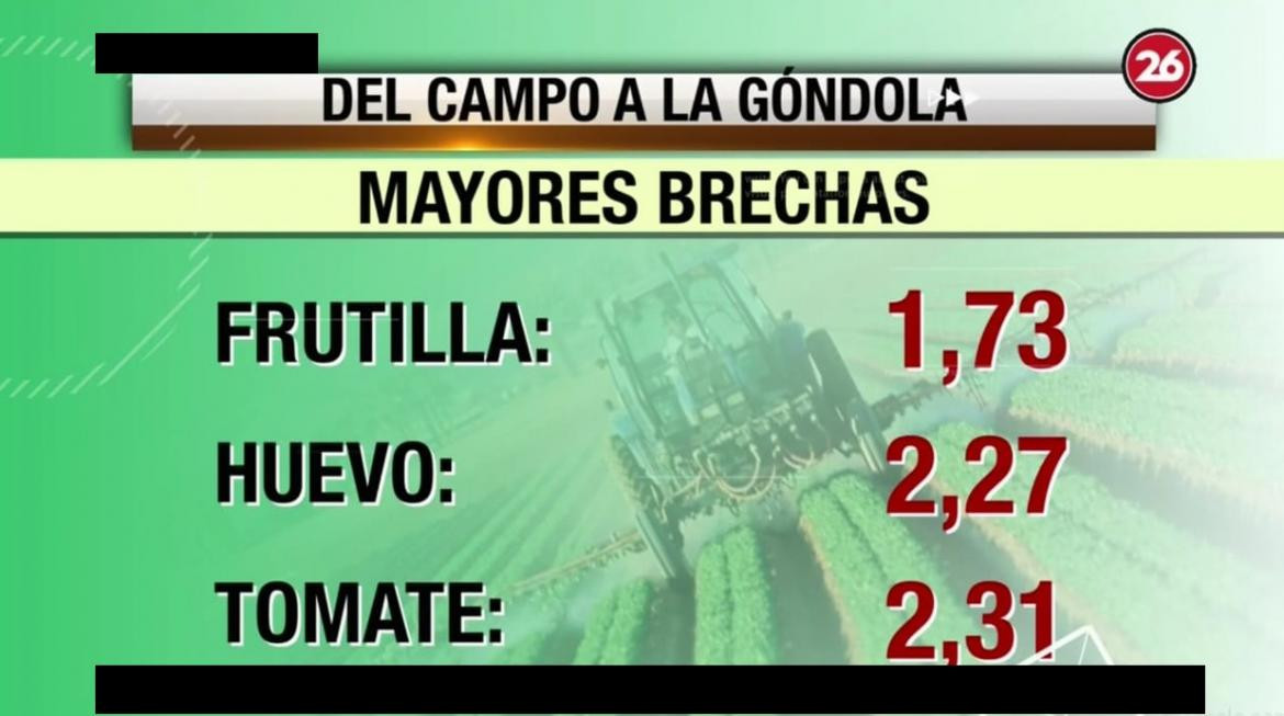 Brecha de precios entre campo y góndola, Canal 26