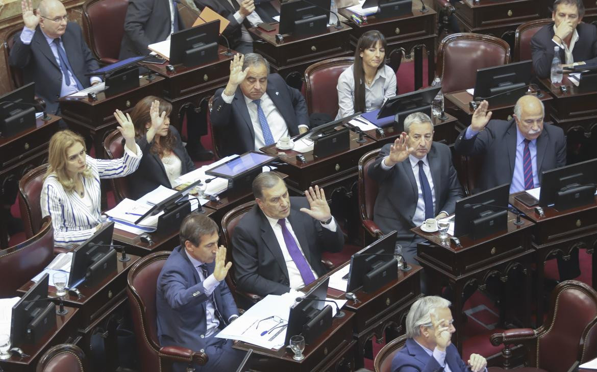 Senadores oficialistas votan durante el tratamiento del proyecto de ley sobre Emergencia Alimentaria, NA