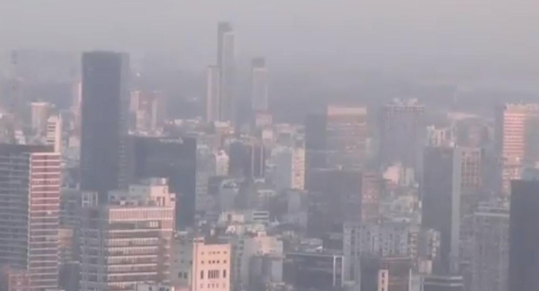 Quema de pastizales, humo en Buenos Aires