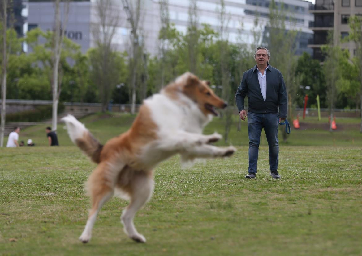 El candidato presidencial Alberto Fernández antes de emitir su voto paseó a su perro, REUTERS