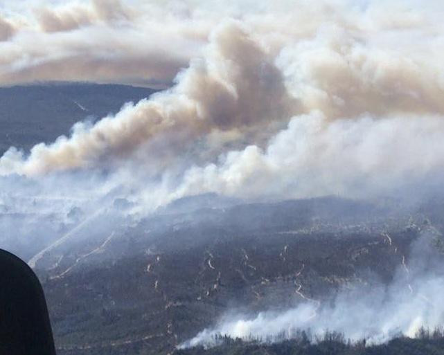 Incendios forestales en Chile