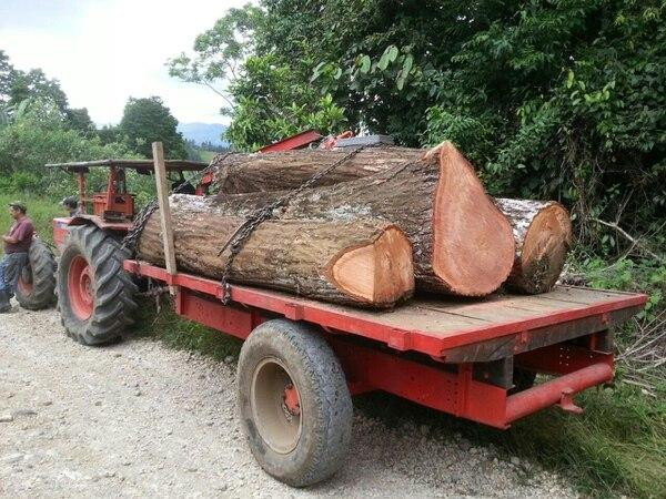 Madera cultivada, info general