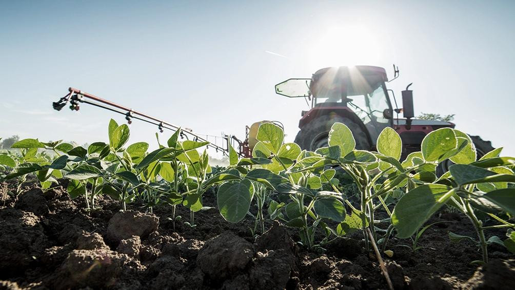 Retenciones al agro, nueva medida del Gobierno