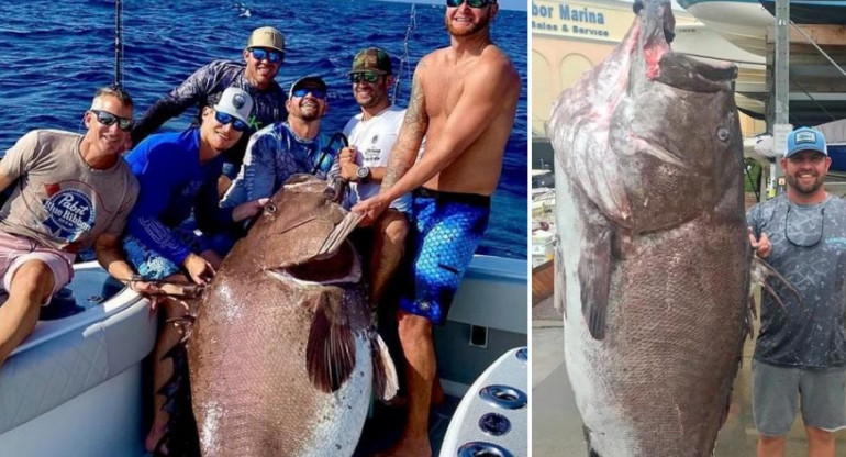Pesca insólita en Florida, sacó un pez en peligro de extinción