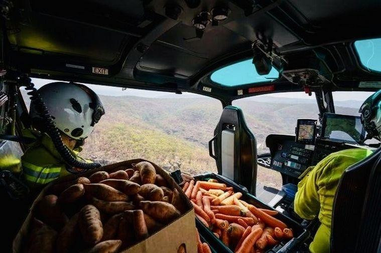 Incendios en Australia