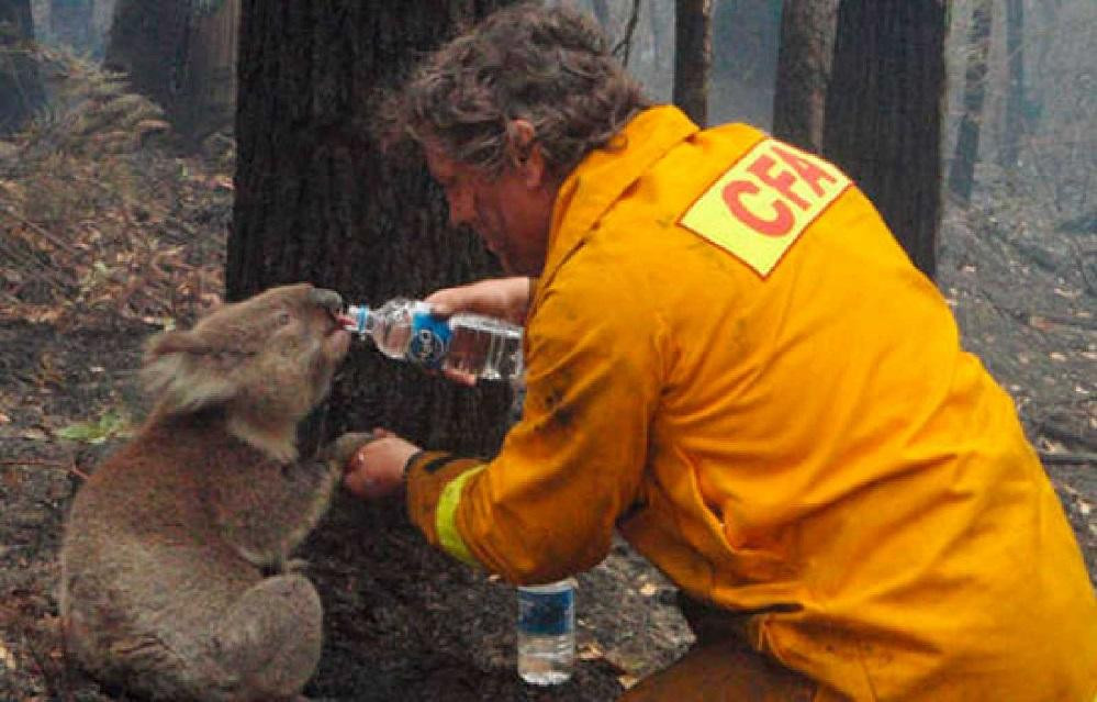 Incendio Australia