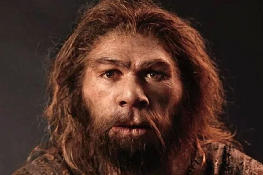Hombre de neandertal, ciencia, antropología