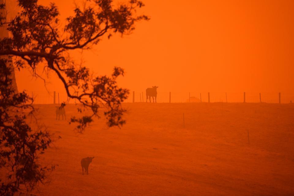 Incendios en Australia