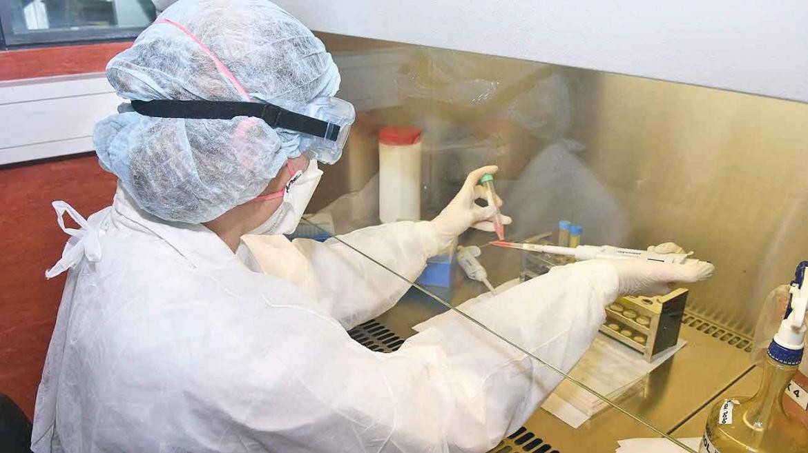 Diagnóstico de coronavirus en Instituto Malbrán