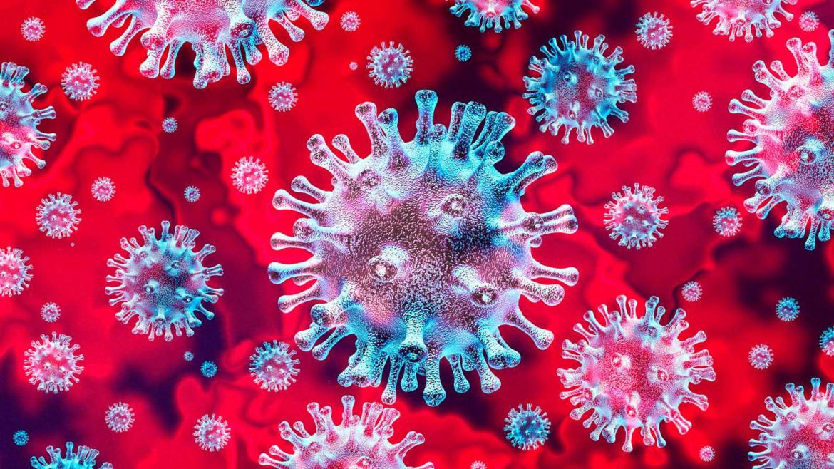 Coronavirus - Cepa del virus