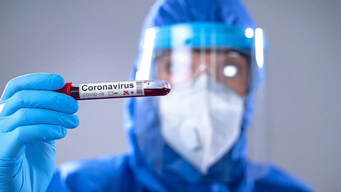 Coronavirus, Covid-19, pandemia, salud, científicos Coronavirus, Covid-19, pandemia, salud, científicos
