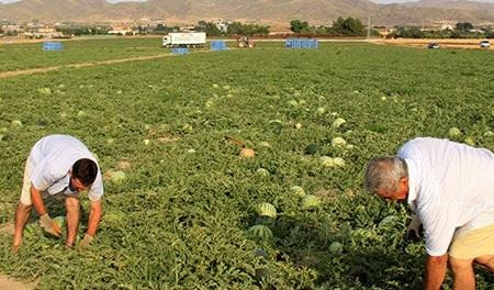 Agricultores en Europa, coronavirus