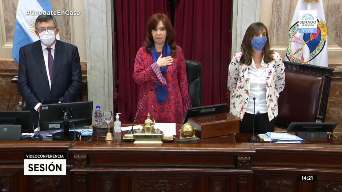 Senado, primera sesión virtual, Cristina Fernández de Kirchner
