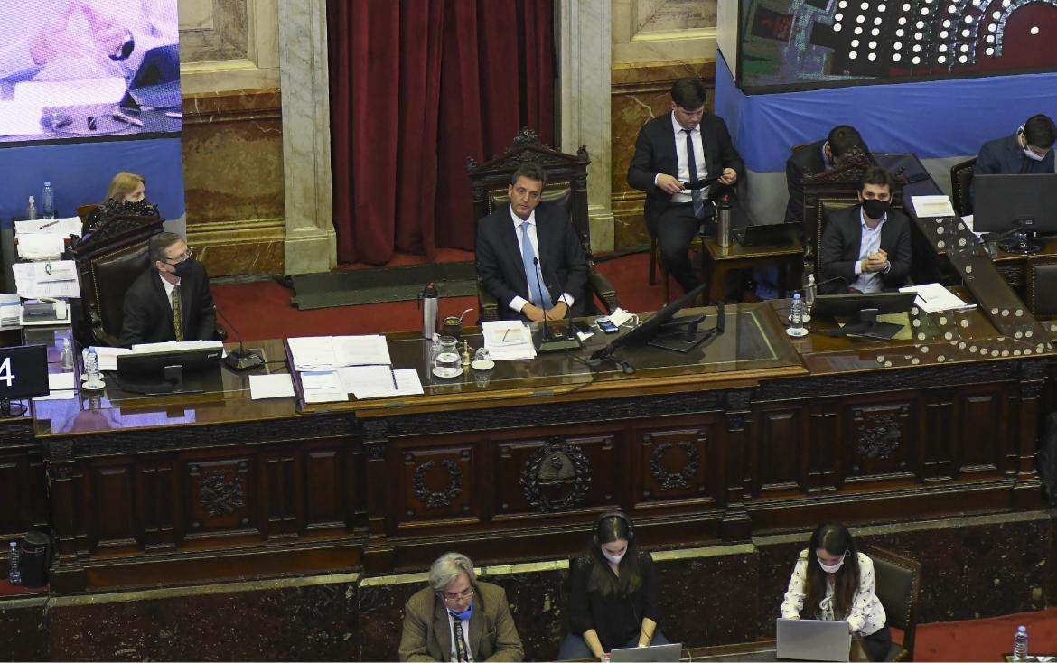 Diputados, primera sesión virtual, Sergio Massa, NA