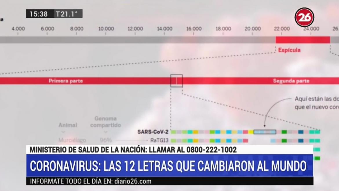 Coronavirus, las doce letras que cambiaron el mundo con el coronavirus: ccu cgg cgg gca	