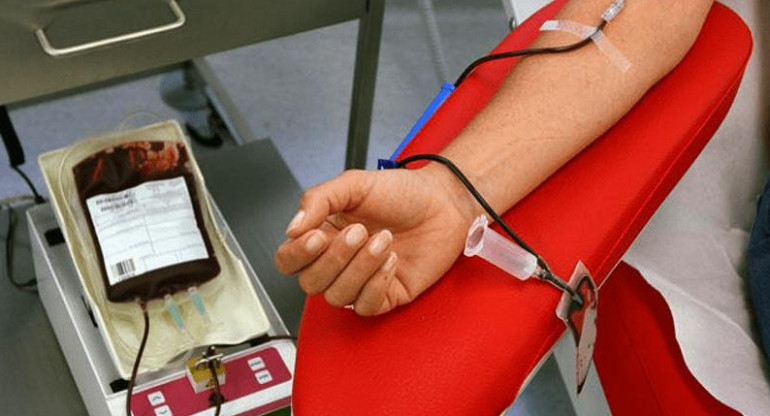 Donación de sangre, Argentina