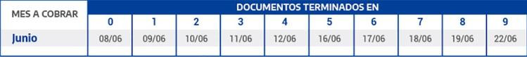 Cronograma de pagos, IFE, ANSES