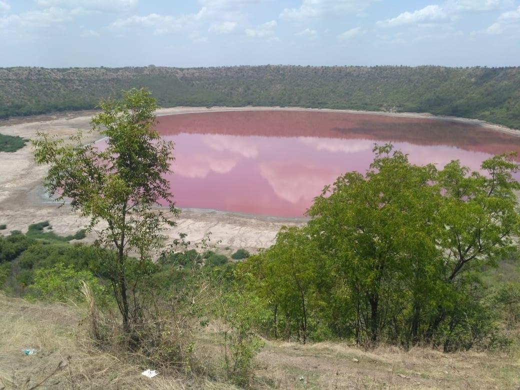 Lago Rosa en India