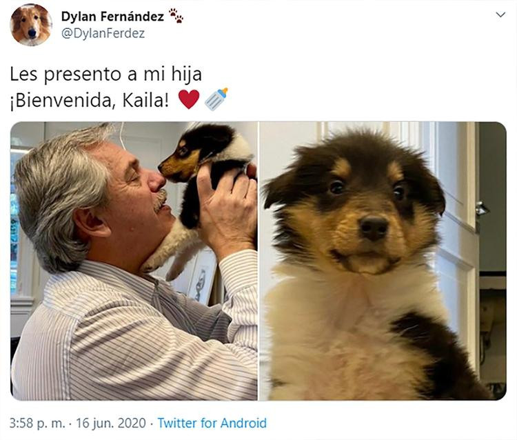 Alberto Fernández presentó a la nueva hija de su perro Dylan