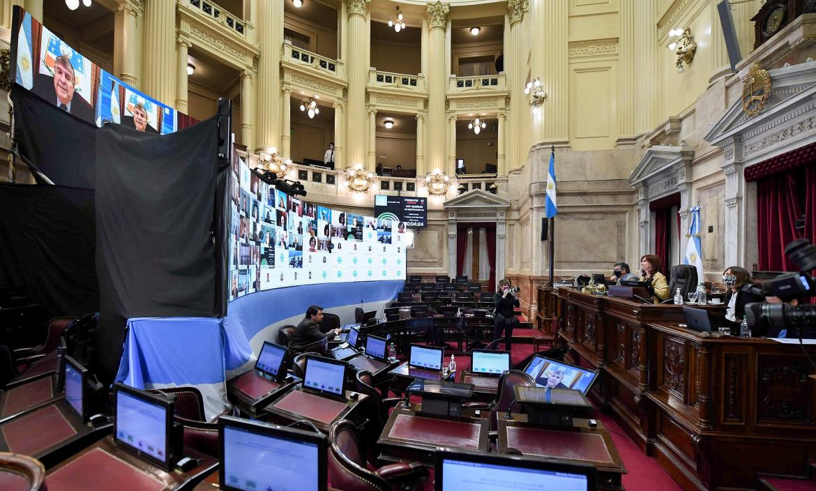 Sesión Senado, Cristina Kickner, Agencia NA