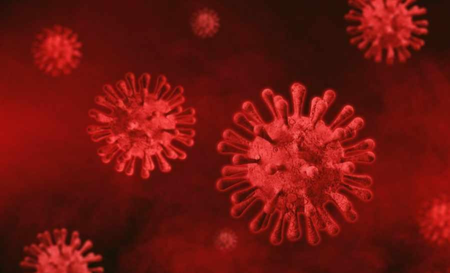 Coronavirus en el mundo, pandemia