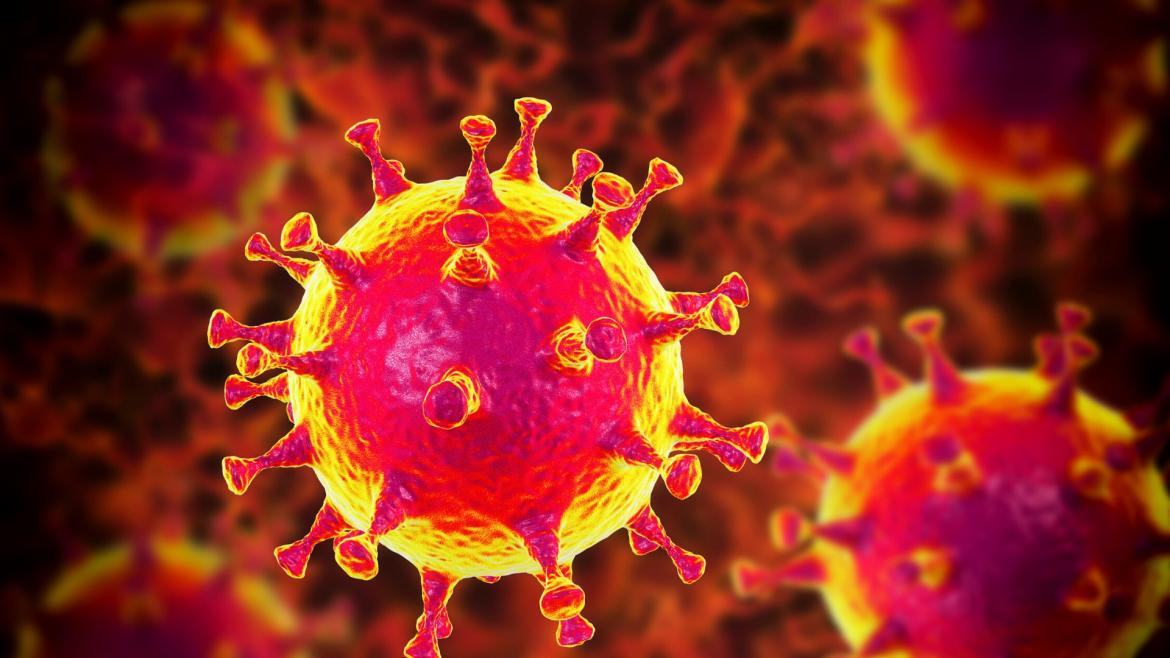 Coronavirus en el mundo, pandemia