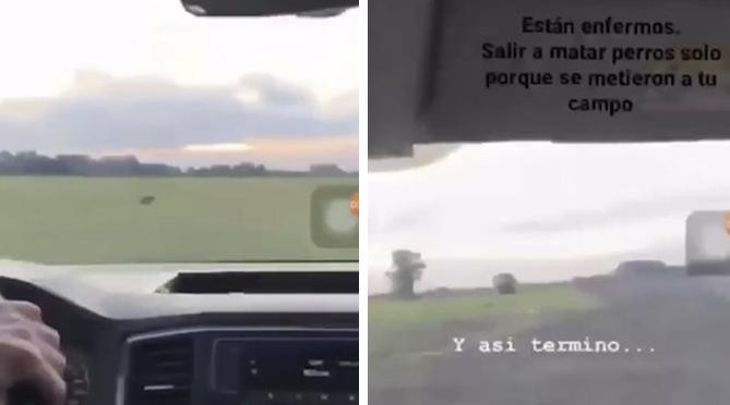 Grupo de personas disparándole a un perro