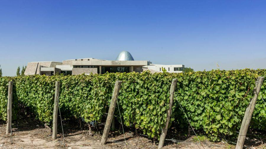 Zuccardi, bodega, Foto gentileza Bodegas Zuccardi	