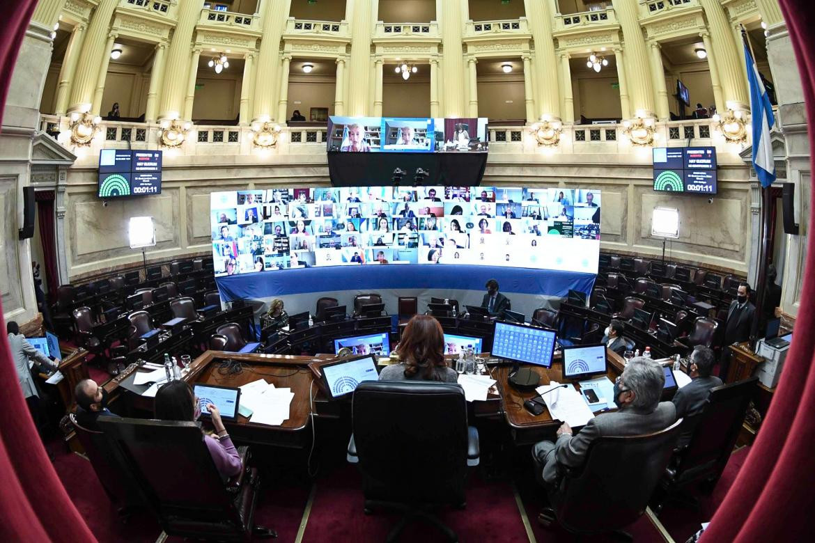 Senado, sesión virtual, Agencia NA