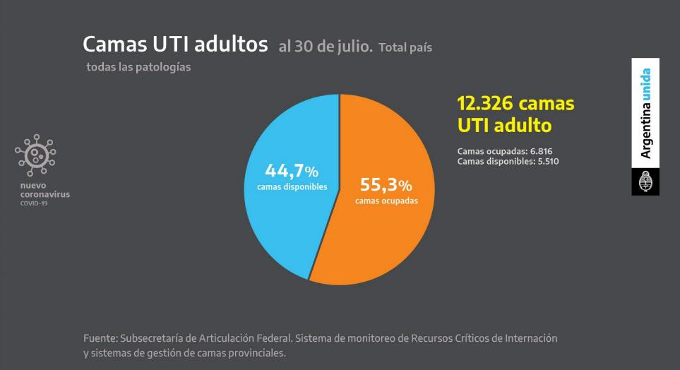 Camas UTI adultos, cuarentena, coronavirus en Argentina