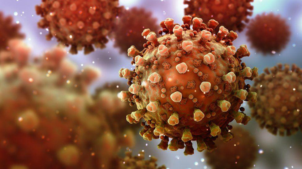 Coronavirus en el mundo, pandemia