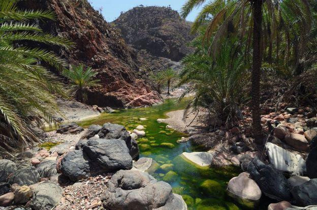 Islas de Socotra, Foto Getty Images