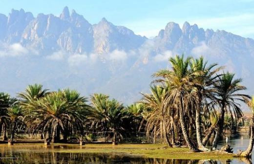 Islas de Socotra, Foto Getty Images