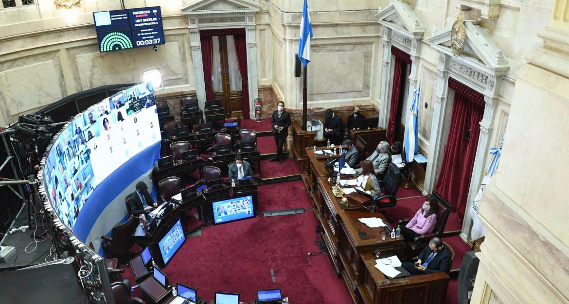 Sesión virtual en Senado, Congreso, Agencia NA