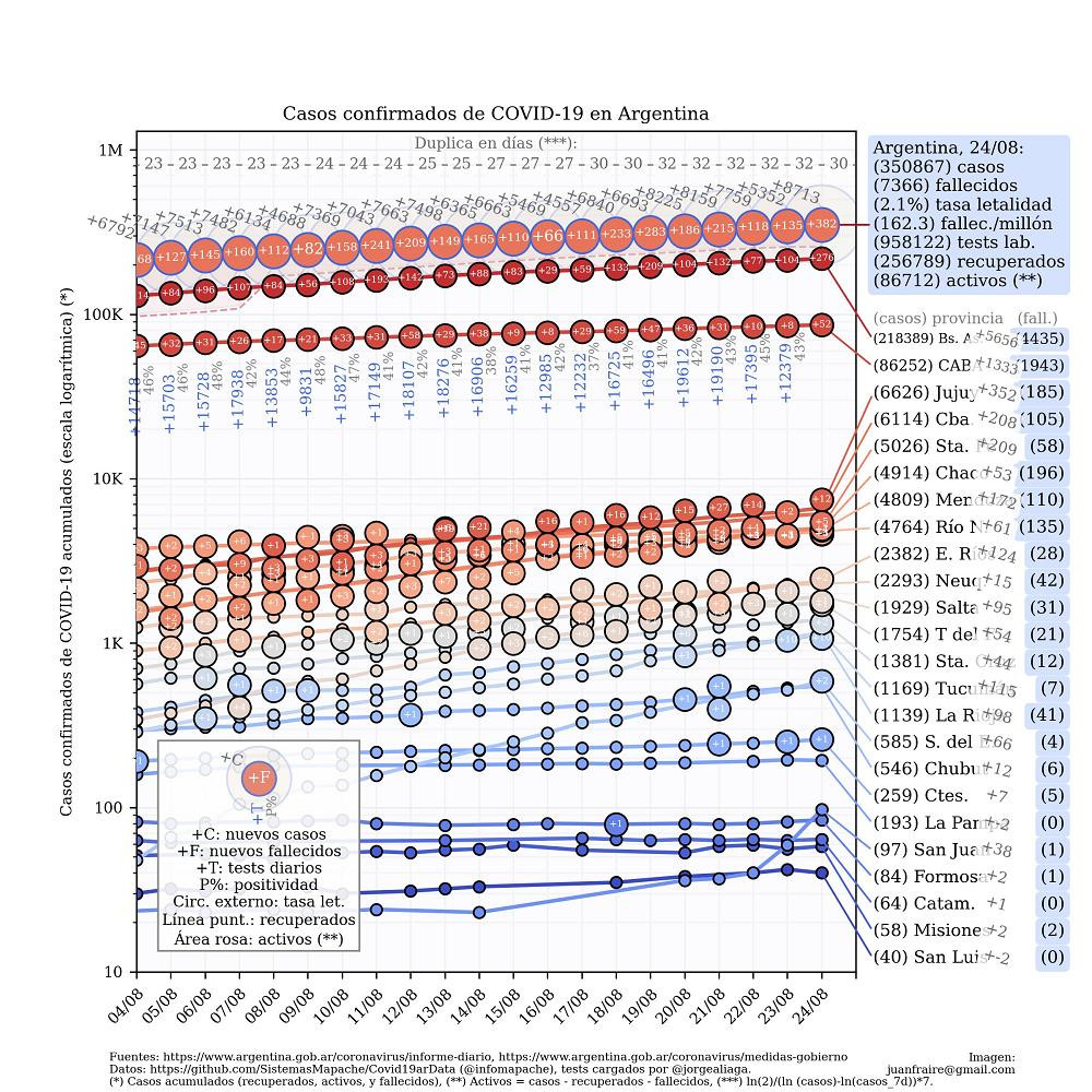 Curva de casos en Argentina actualizada con los reportes matutinos y vespertinos, @TotinFraire, 24-8-2020	