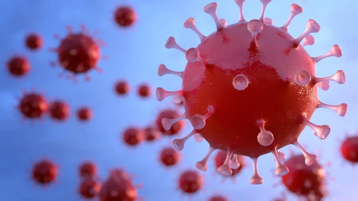 Coronavirus en el mundo, pandemia