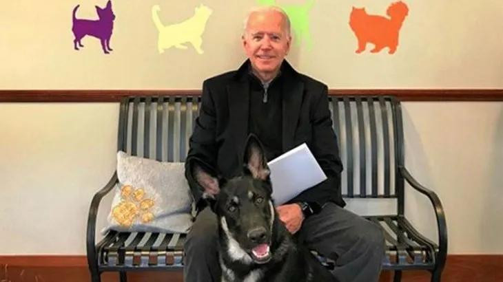 Joe Biden junto a su perro Major, Foto Archivo