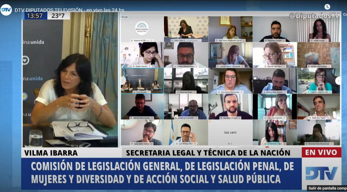 Debate sobre el aborto, sesión virtual en Diputados, NA