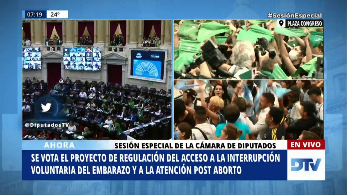 Aborto legal, Diputados, NA