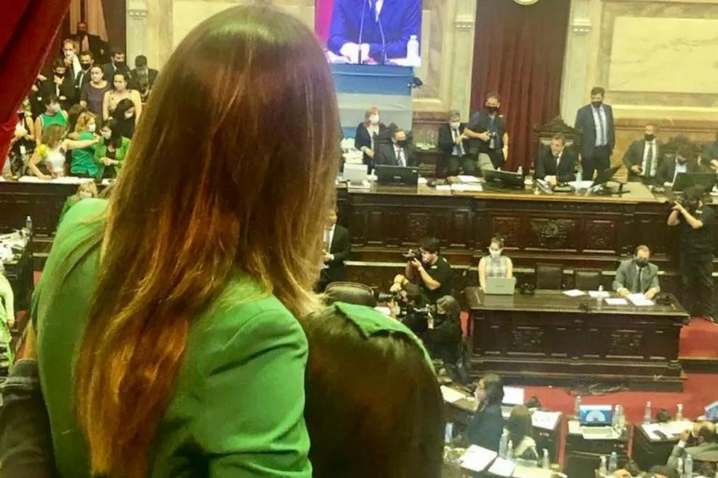 Presidenta de AySA, Malena Galmarini en sesión en Diputados sobre Aborto