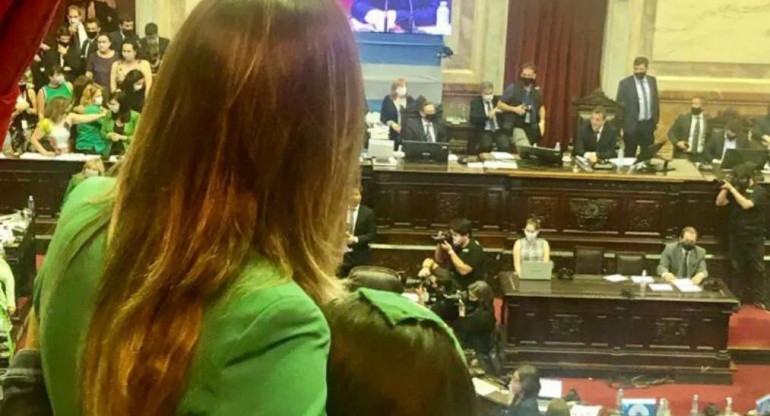 Presidenta de AySA, Malena Galmarini en sesión en Diputados sobre Aborto