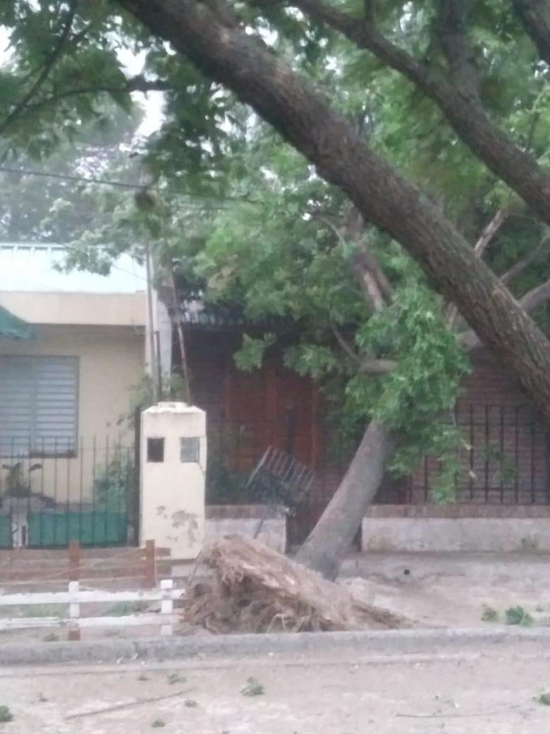 Impresionante tormenta en La Pampa 8