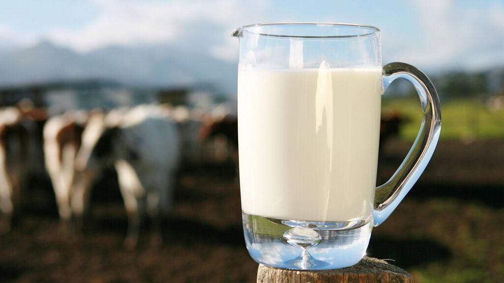 Leche de vaca