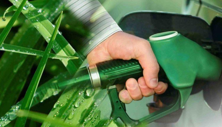 Biocombustibles, biodisel, Foto Google