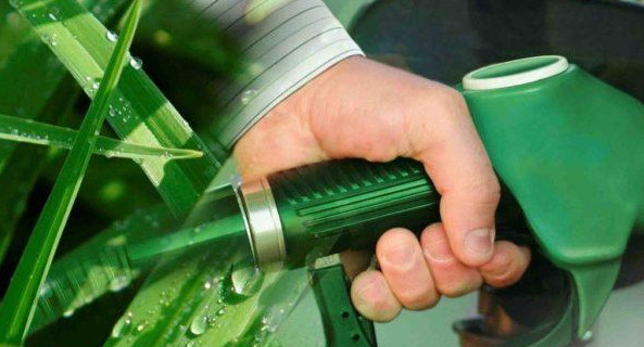 Biocombustibles, biodisel, Foto Google
