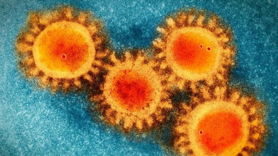 Nueva cepa de coronavirus