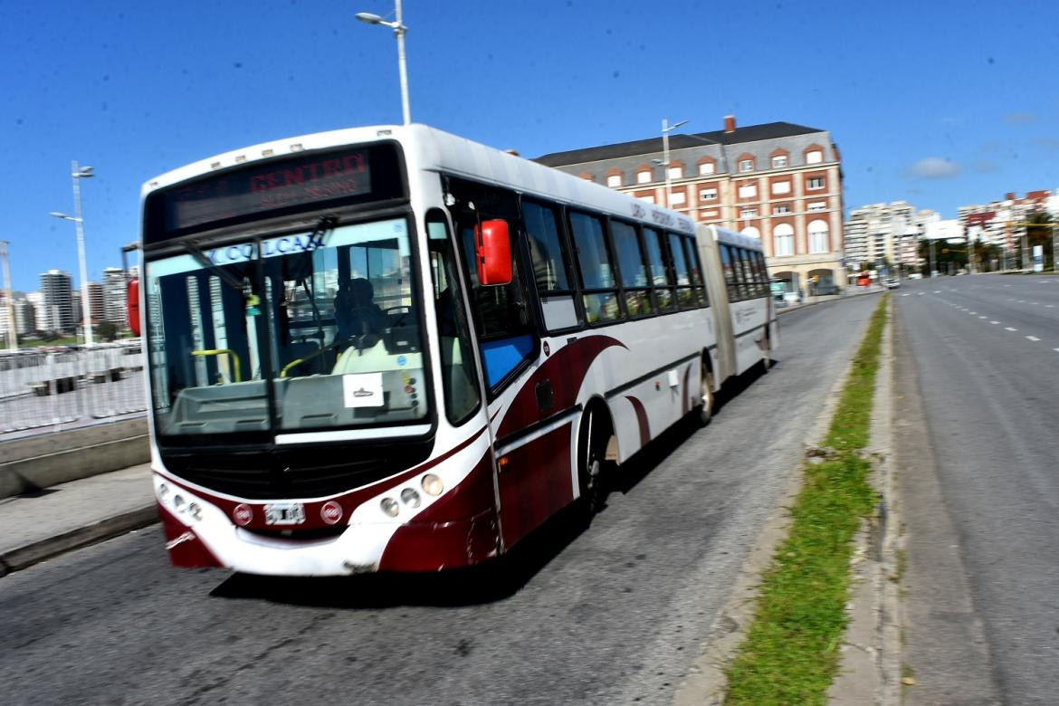 Paro de colectivos en Mar del Plata