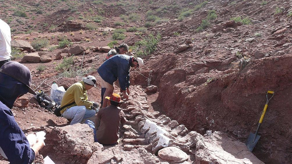 Restos fósiles de un dinosaurio en Neuquén